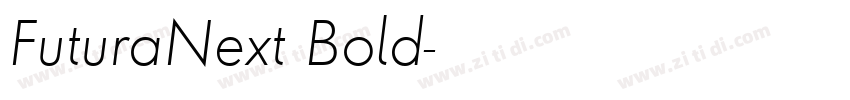 FuturaNext Bold字体转换